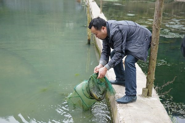 未来10大暴利养殖 现在最赚钱的养殖十大暴利养殖